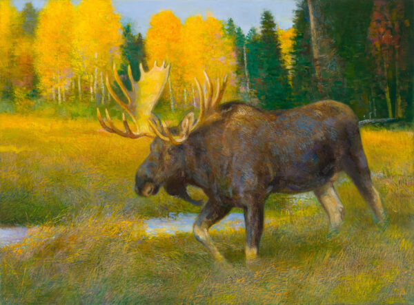 In Nature's Realm (Shiras Moose)