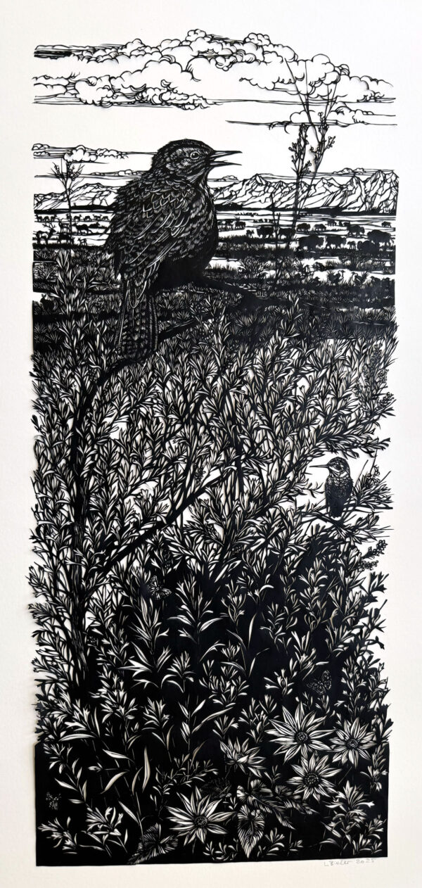 Morning Song of the Meadowlark