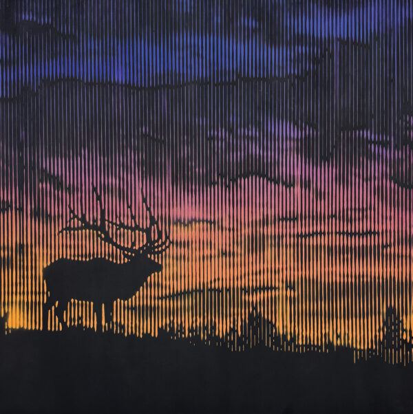 Dusk on the Divide