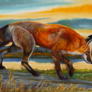 Fox Tail