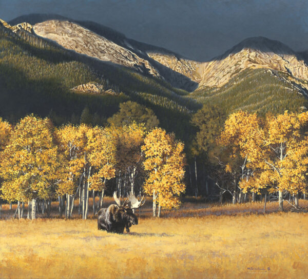 Aspen Glow