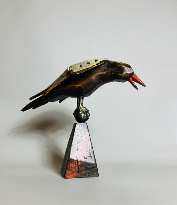 Crow's Feet