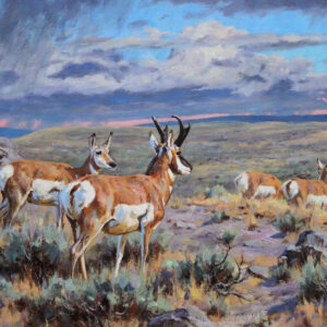Sage Land Showers
