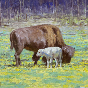 The Miracle that is Yellowstone National Park