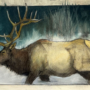 Walkin' in Winter Wonderland