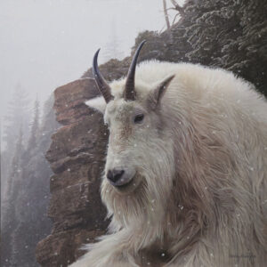 Cliff Wrangler - Mountain Goat