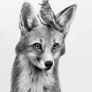 Fox, Bird, Bear