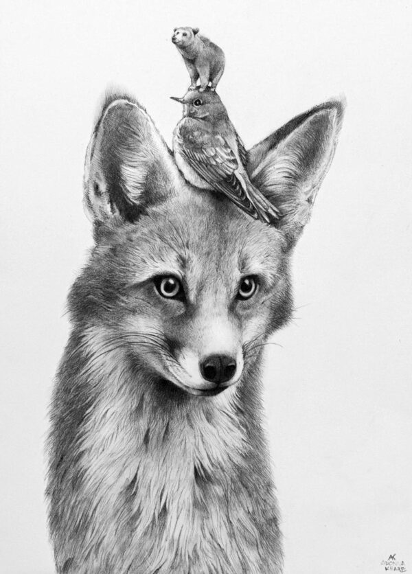 Fox, Bird, Bear