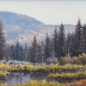 A Quiet Pasture