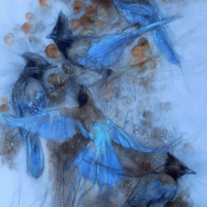 Indigo & Soot