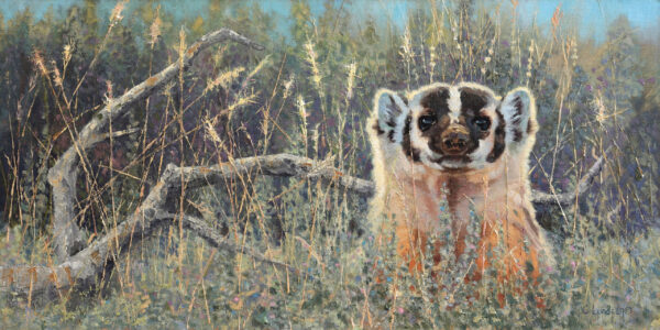 Up Periscope - American Badger