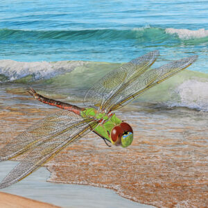 Shore Patrol