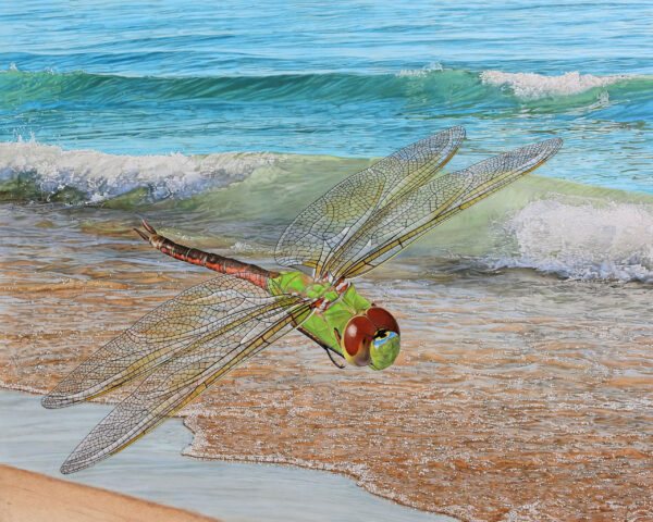 Shore Patrol