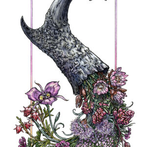 The Pronghorn of Plenty