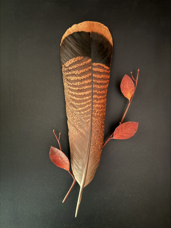 Turkey Feather with Blueberry Leaves