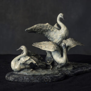 Swans at Rest on Freezeout