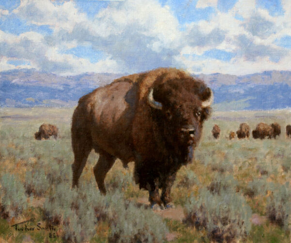 Wyoming Bison Study