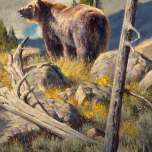 Griz Country