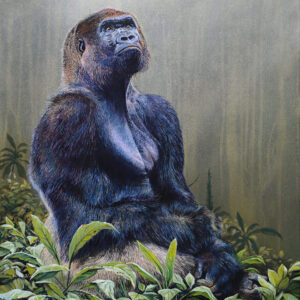 Dear Mr. Attenborough…
