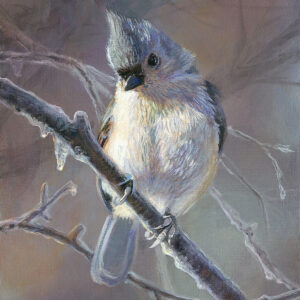 Hazy Shade of Winter