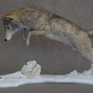 Coyote II “Pouncing”