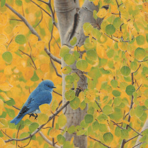 Blue Note