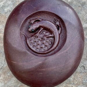 Spiraling Salamander