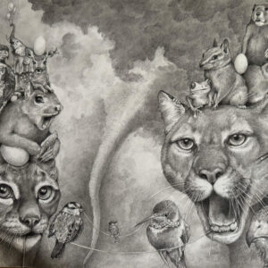 The Mountain Lion