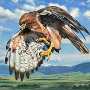 Above the Prey