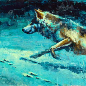Trail of the Hare