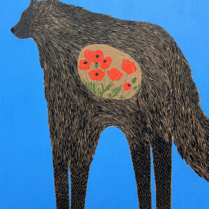 Do Wolves Eat Poppies? Not Usually…This One Did So I Had to Document It!
