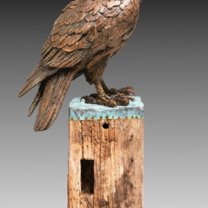 America’s Bird