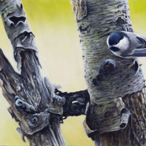 Bark Bridge Chickadee