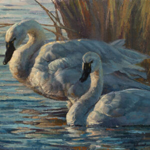 Preening Pair