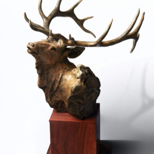 Elk Bust