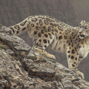 Alpine Apparition