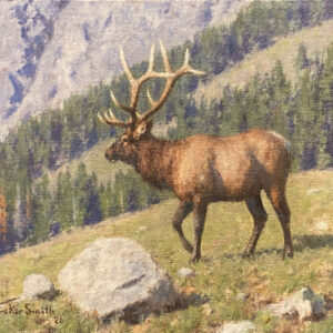 Six Point Bull