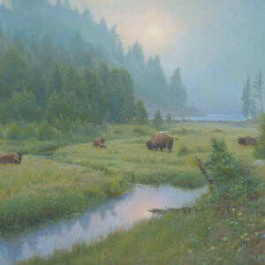 Lifting Fog on the Upper Yellowstone